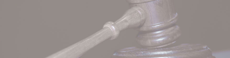 perfil_962x243px.jpg